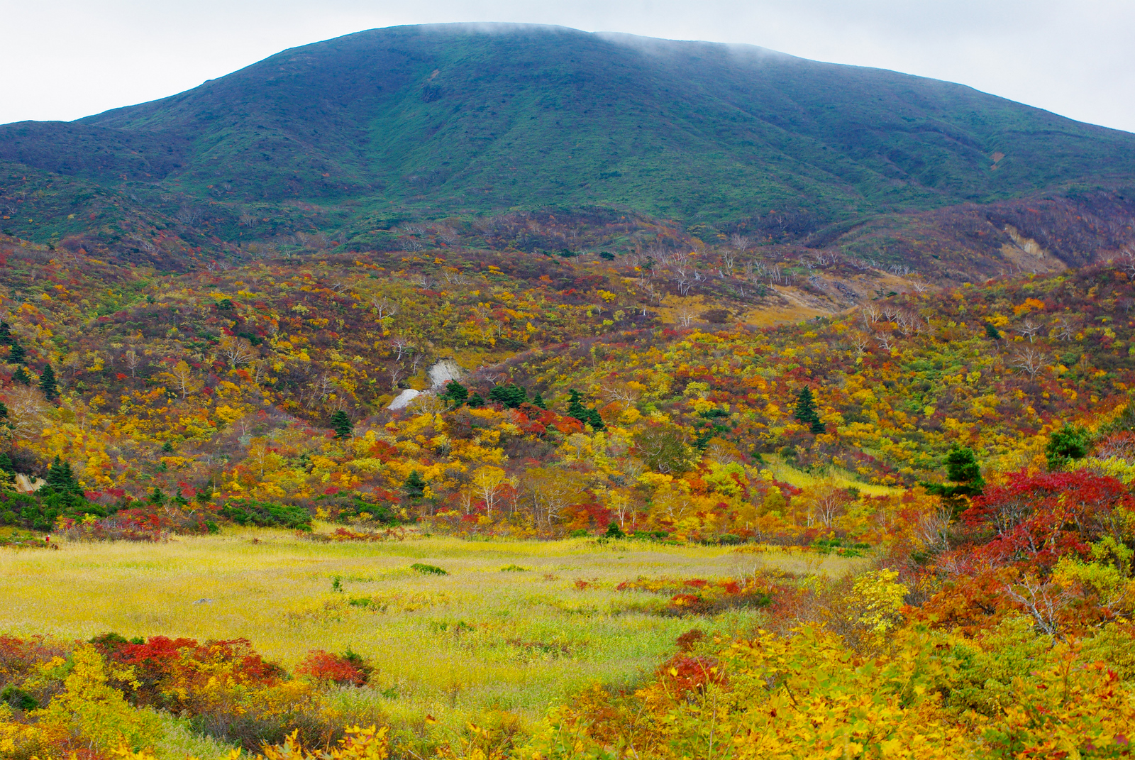 紅葉の湿原越しに見える須川岳周辺の山並み